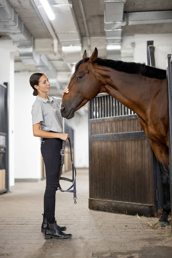 Découvrez le service d'accompagnement idéal pour les chevaux